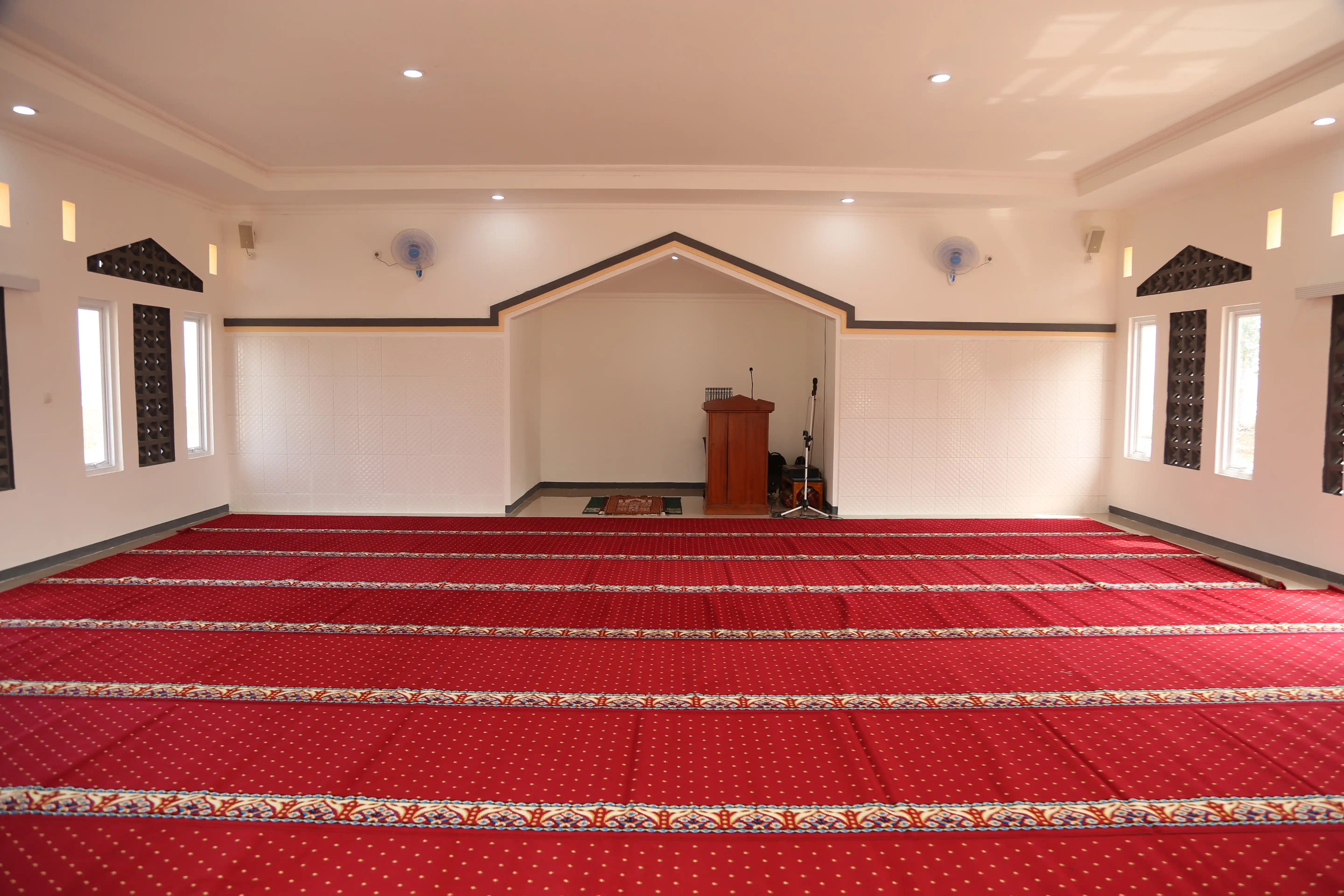 Slider Image 16