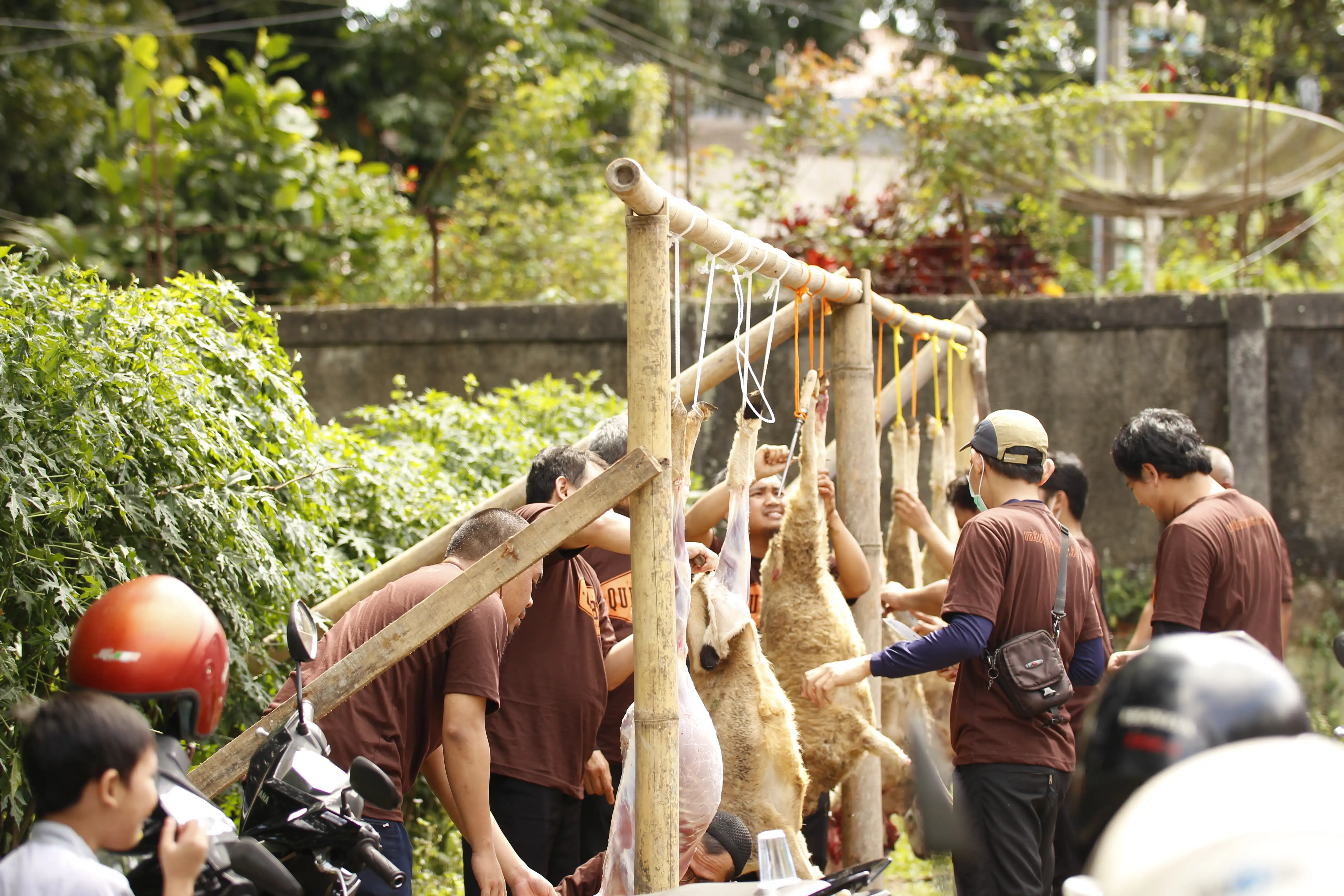 Dokumentasi Qurban 1